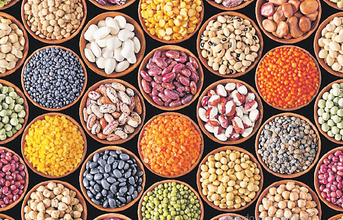 Legumes